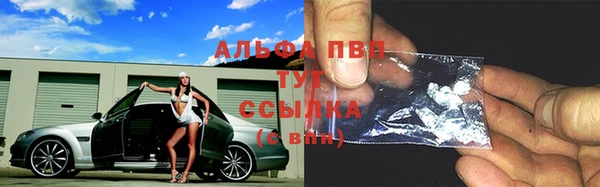 ПСИЛОЦИБИНОВЫЕ ГРИБЫ Волоколамск