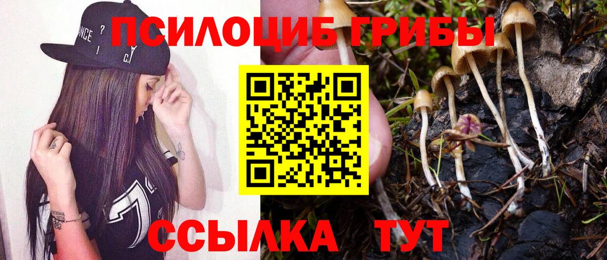 Галлюциногенные грибы мухоморы Воронеж