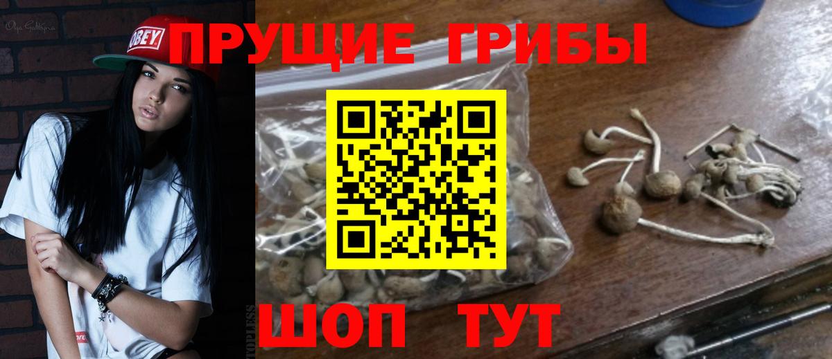 Галлюциногенные грибы ЛСД  где найти   Воронеж 